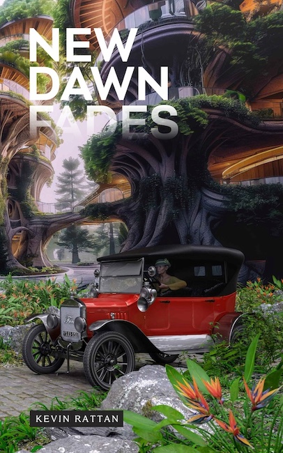 New Dawn Fades book cover